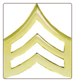 Sgt Stripes ( Gold )