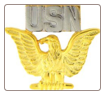 US Navy Eagle