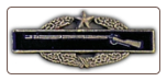 Combat Infantry Badge 2nd Award