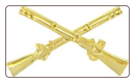 Infantry Crosse Rifles ( Gold )