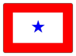 Blue Star 3' x 5' Polyester Flag