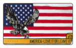 USA Eagle ( America love it or leave it ) 3 ' X 5 ' Polyester Flag