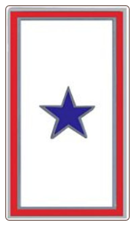 Blue Star Service Pin