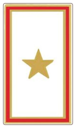Gold Star Service Pin