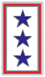 Blue Three Star Service Pin