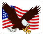American Flag & Eagle
