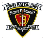 1st BN 3rd Marine